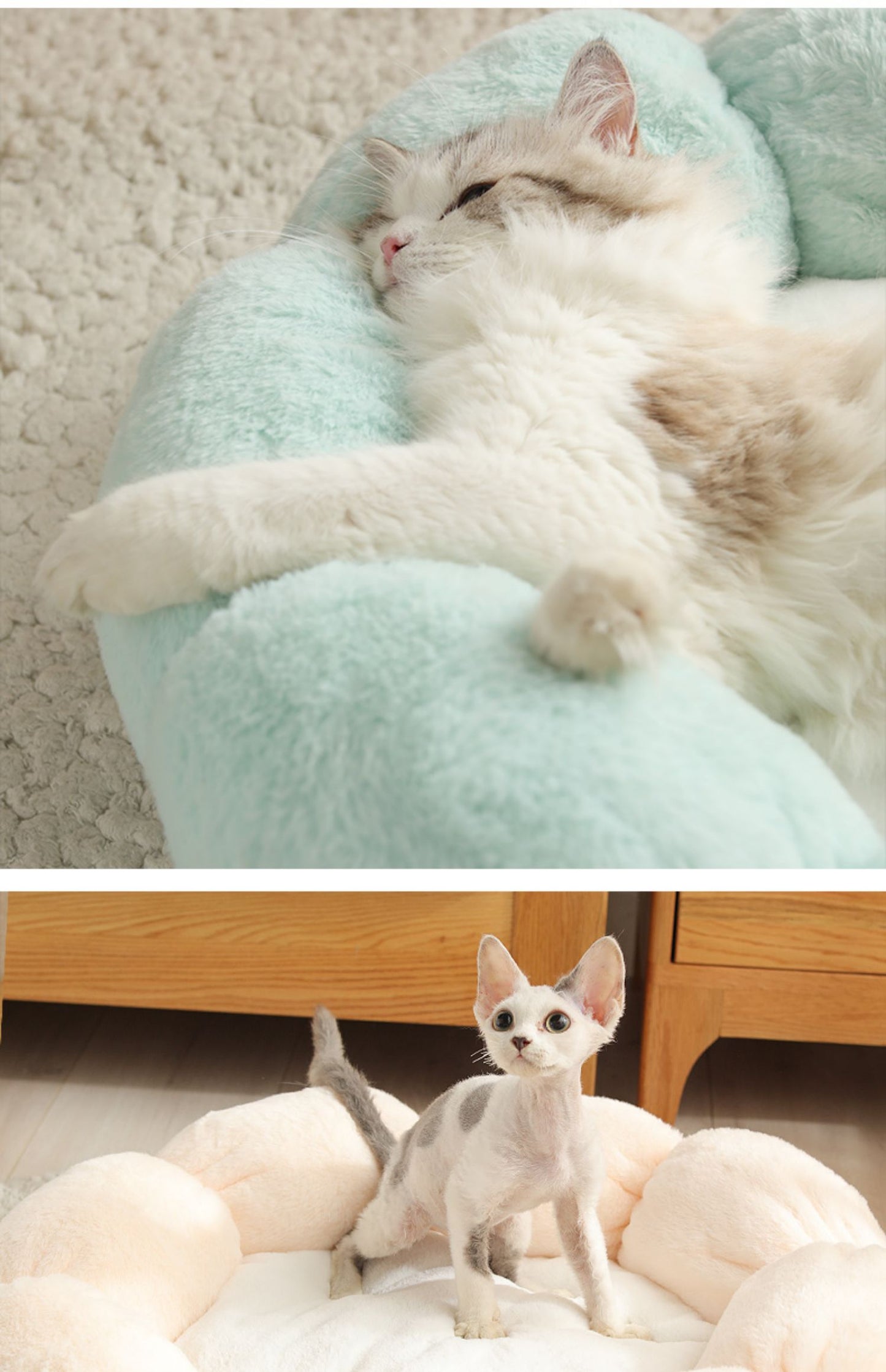 Cama Lavable Universal para Gatos y Perros