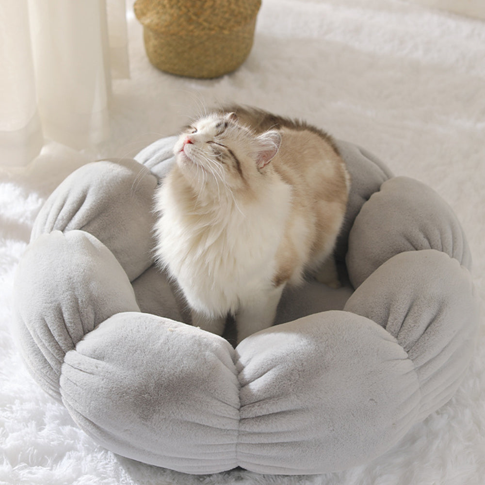 Cama Lavable Universal para Gatos y Perros
